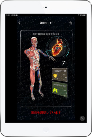 運動モード
