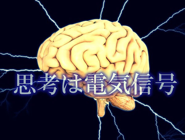 思考は電気信号